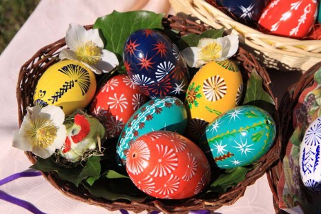 Lenka Bezděkovská, Rohozná