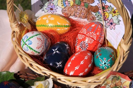 Lenka Bezděkovská, Rohozná