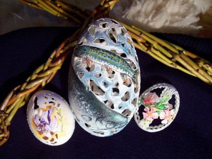 Jana Brandejská, Pardubice