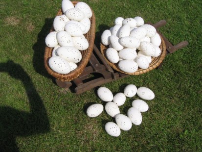 paní Váchová, Domažlice