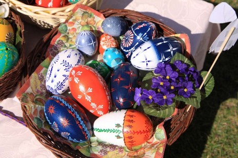 Lenka Bezděkovská, Rohozná