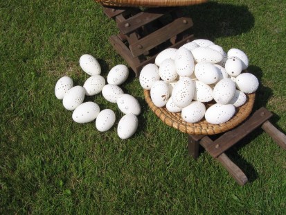 paní Váchová, Domažlice